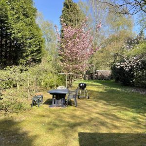 image00019-min image00019-min